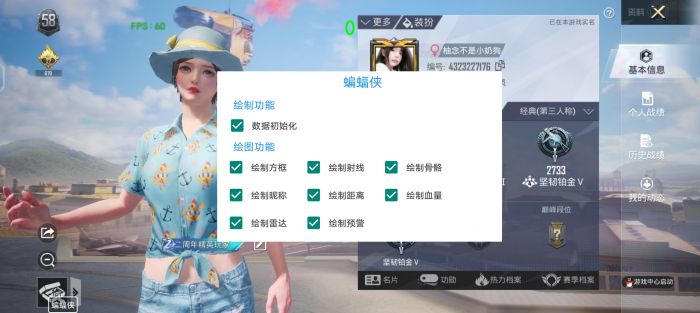 和平精英什么类型是外挂（和平精英什么是外挂）